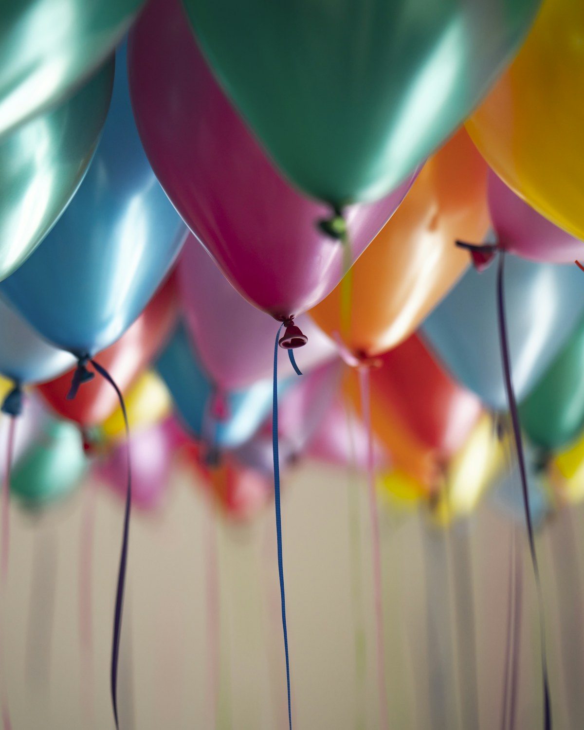 Colourful balloons gathered for a celebration